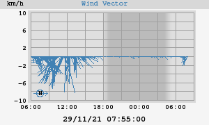Wind Vector